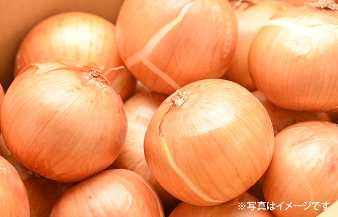 G3670 射手矢さんちの玉ねぎスープ 10食×3箱【玉ねぎ タマネギ 玉葱 射手矢農園】