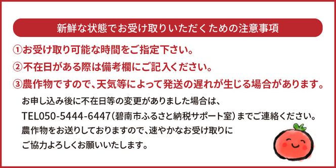 【お試し】甘さ抜群!トマト嫌いでも食べられるトマトベリー 約700g（1月～4月発送） H004-125