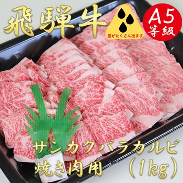 AB-42 A5飛騨牛サンカクバラカルビ焼き肉用1kg