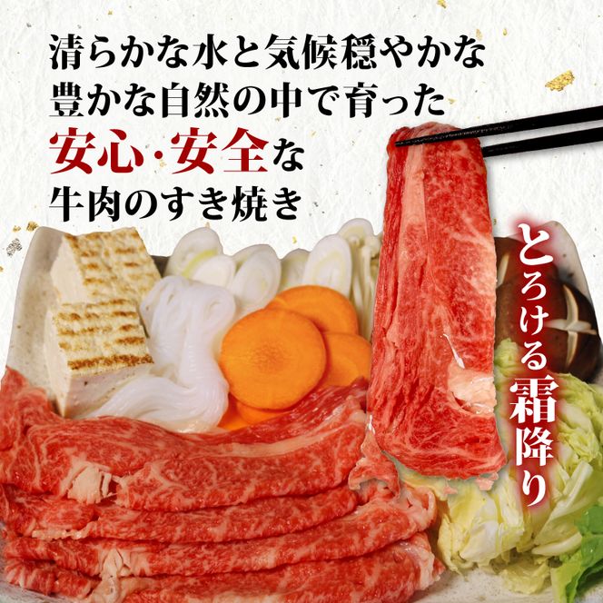 牛肉 肩ロース すき焼き 用 520ｇ 黒毛和牛 A4 A5 ランク 肉 お肉 和牛 牛 人気 国産 安心 安全 静岡県 藤枝市[PT0210-000003]