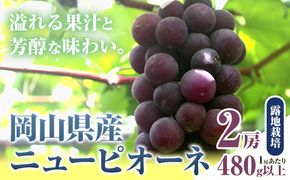 【先行予約】 岡山県産 ニューピオーネ 2房 480g以上 露地栽培 葡萄 果物 厳選出荷 スイーツ フルーツ デザート 岡山県矢掛町《9月中旬-10月末頃に出荷予定(土日祝除く)》 種なしぶどう 【配送不可地域あり】---osy_chbf23_bc9_25_17500_2---