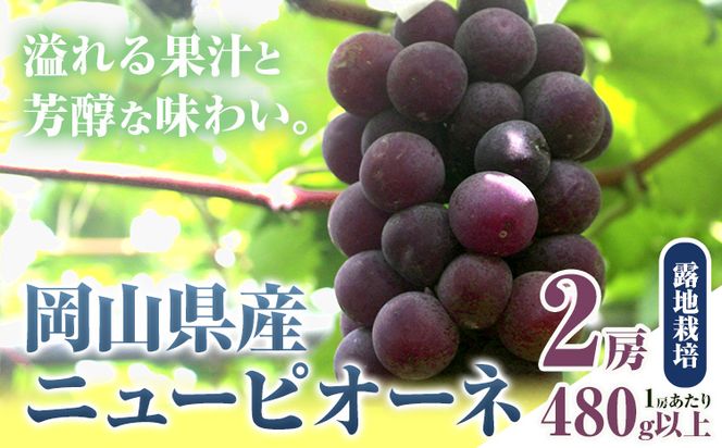 yR|zys\z RY j[sI[l 2[ 480gȏ In͔|  ʕ Io XC[c t[c fU[g R|s9{-10{oׁt ȂԂǂ yzsn悠z---osy_chbf24_ak9_26_17500_2---