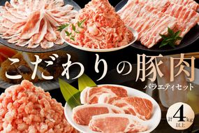 京都産こだわりの豚肉　バラエティセット 4kg以上 （ロースまたは肩ローススライス300g×2パック、バラスライス300g×2パック、トンカツ用（ロースまたは肩ロース）100g以上×４枚入り１パック、ミンチ500g×１パック、こま切れ500g×4パック）　TN00014