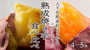 【 先行予約 2025年1月以降発送 】 oimo_tokyo 熟成 焼き芋 八千代町産 人気 2種 食べ比べ セット ( 紅はるか ＆ シルクスイート ）4本～5本 冷蔵 冷やし やきいも 食物繊維 さつまいも 美容 健康 スイーツ おやつ 小分け 茨城県産 [BY003ya]