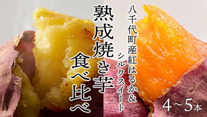 【 先行予約 2025年1月以降発送 】 oimo_tokyo 熟成 焼き芋 八千代町産 人気 2種 食べ比べ セット ( 紅はるか ＆ シルクスイート ）4本～5本 冷蔵 冷やし やきいも 食物繊維 さつまいも 美容 健康 スイーツ おやつ 小分け 茨城県産 [BY003ya]