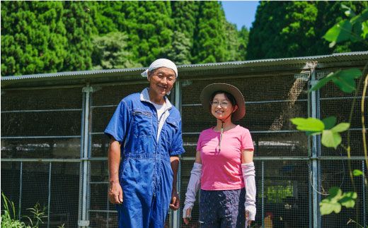 おひさまプリン5個セット 【スイーツ 平飼い 無添加 有精卵 ミルン牧場 牛乳 プリン県 プリンマップ】(H073108)