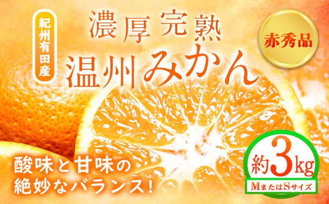【先行予約】赤秀品　紀州有田産 濃厚完熟温州みかん 3kg(MサイズまたはSサイズ) 魚鶴商店《2026年11月下旬〜2027年1月下旬頃出荷予定》和歌山県 日高町 みかん ミカン 蜜柑 フルーツ 柑橘---wsh_uot156_11g1g_25_12000_3kg---