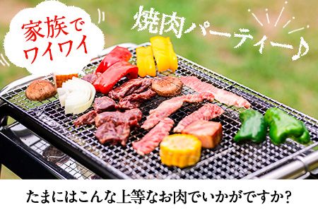 肥後のあか牛 焼き肉用500g《90日以内に出荷予定(土日祝除く)》株式会社KAM Brewing---so_fkamhgyk_90d_23_15500_500g---