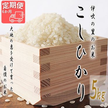 AO-3  ほたるの集う田んぼの米 こしひかり 6ヵ月定期便