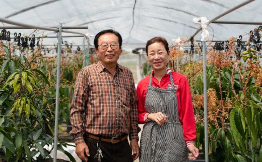 【完熟三養基マンゴー】オリジナルマンゴージュース 200g×5本セット C-532