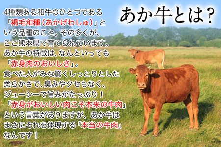 熊本県産 あか牛ヒレステーキ 約200g×2枚 肉のみやべ《120日以内に出荷予定(土日祝除く)》---mifune_myb_18_400g---