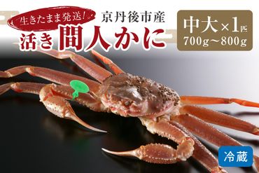 【12月発送】最高鮮度の生きたまま発送！京丹後市産活間人かに　700g～800g中大サイズ/北畿水産　HK00174