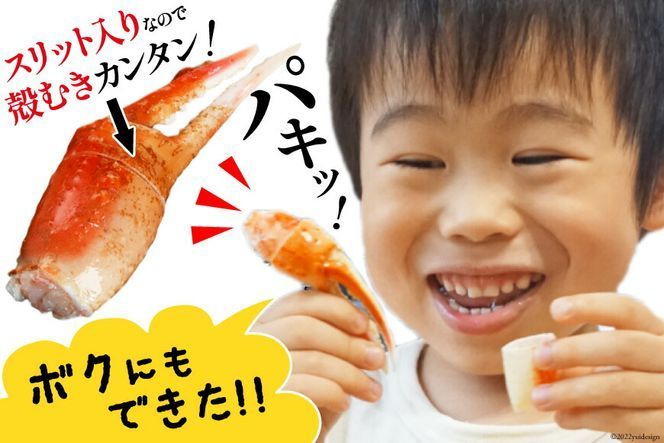 【年内配送 12/15まで受付】リピーター続出！ 本ずわいがに爪 約700g 蟹 かに カニ ずわいがに ズワイガニ ずわい蟹 ズワイ蟹 ずわい ズワイ 蟹 カニ爪 蟹爪 カニ爪肉 つめ 爪 ボイル [カネダイ 宮城県 気仙沼市 20564321_CF02]