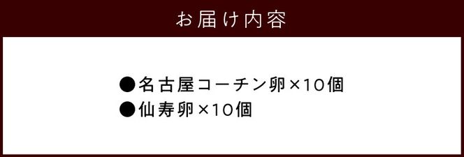 名古屋コーチン卵・仙寿卵お試しセット(各10個入り)[006K02]