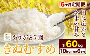 【6ヶ月定期便】 令和6年産 米 岡山県産 きぬむすめ 白米 10kg ありがとう園《お申込み月の翌月から出荷開始》岡山県 矢掛町  米 コメ 一等米 定期便 定期---osy_aekhtei_23_110500_mo6num_10---