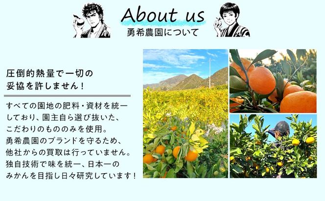 先行予約早生みかん 約3kg サイズ混合 和歌山県 有田みかん  2025年11月中旬頃発送 	EF05