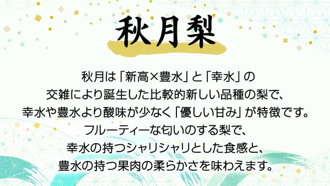 《 先行予約 》 茨城県産 梨 秋月 （ 約5kg ） 【 2026年 9月上旬頃より発送開始 】 あきづき アキヅキ フルーツ 果物 なし ナシ 旬 新鮮 旬 期間限定 国産 [CK003us]