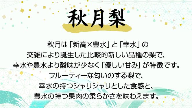 《 先行予約 》 茨城県産 梨 秋月 （ 約5kg ） 【 2024年8月末頃発送予定】 あきづき アキヅキ フルーツ 果物 なし ナシ 旬 新鮮 旬 期間限定 国産 [CK003us]