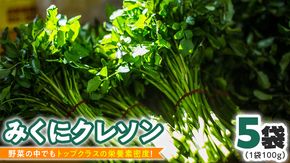 【 先行予約 】 みくにクレソン100g×5袋 美容 健康 野菜 スーパーフード クレソン [CY001ci]