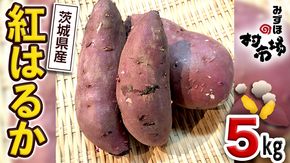 さつまいも 「 紅はるか 」 5kg 旬 甘い 芋 いも サツマイモ スイーツ 野菜 [AM034us]