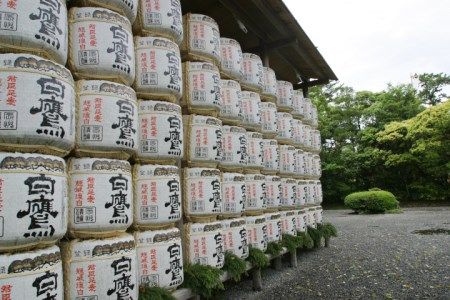 M-49 白鷹　吟醸純米 超特撰白鷹1.8L　1本入