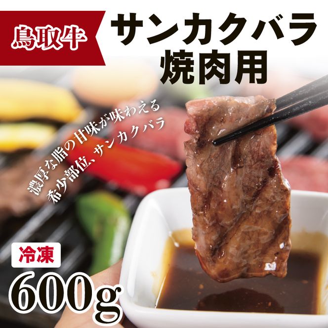 0298 鳥取牛サンカクバラ焼肉用 600g(冷凍)