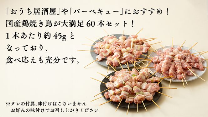 1本45g！合計約2700g！大満足の 国産鶏 焼き鳥 モモ3種60本 セット （各20本入り） 焼鳥 鶏肉 おかず おつまみ [AI10-NT]