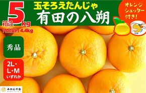 八朔 (はっさく) 玉ぞろい 箱込 5kg(内容量約 4.4kg) 2L L Mサイズのいずれか  秀品 優品 混合 和歌山県産  産地直送【おまけ付き】【みかんの会】	AX233