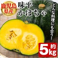 ＜先行予約受付中！2025年5月以降発送予定＞鹿児島県産 味平かぼちゃ(約5kg) 国産 野菜 かぼちゃ カボチャ 南瓜 煮物 天ぷら バーベキュー BBQ スイーツ お菓子【松永青果】a-16-29-z