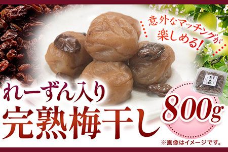 紀州南高梅使用れーずん入り完熟梅干し 800g 厳選館 [90日以内に出荷予定(土日祝除く)] 和歌山県 日高川町 紀州南高梅 れーずん レーズン 梅干し---wshg_tmt184_90d_24_14000_1p---