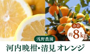 【先行予約】浅野農園の河内晩柑と清見オレンジミックス約8kg｜柑橘 みかん ミカン フルーツ 果物 愛媛 ※2025年6月上旬頃より順次発送予定 ※離島への配送不可