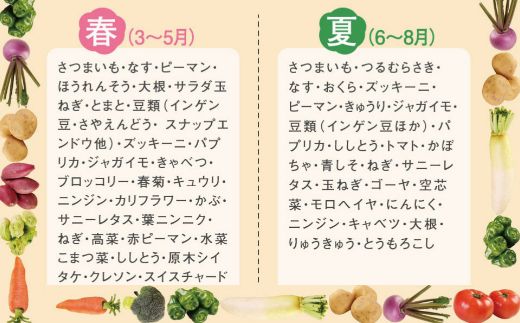 定期便 年4回 野菜 旬 1回あたり10品 セット 詰め合わせ 春夏 定期便 年4回 野菜 旬 1回あたり10品 セット 詰め合わせ 春夏