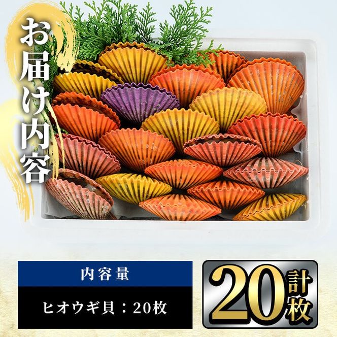 ヒオウギ貝 (20枚) 魚介 貝 ヒオウギ貝 ひおうぎ貝 酒蒸し 網焼き バター焼き バーベキュー 獲れたて 冷蔵 海の直売所 大分県  佐伯市【AS118】【海べ (株)】（大分県佐伯市） | ふるさと納税サイト「ふるさとプレミアム」