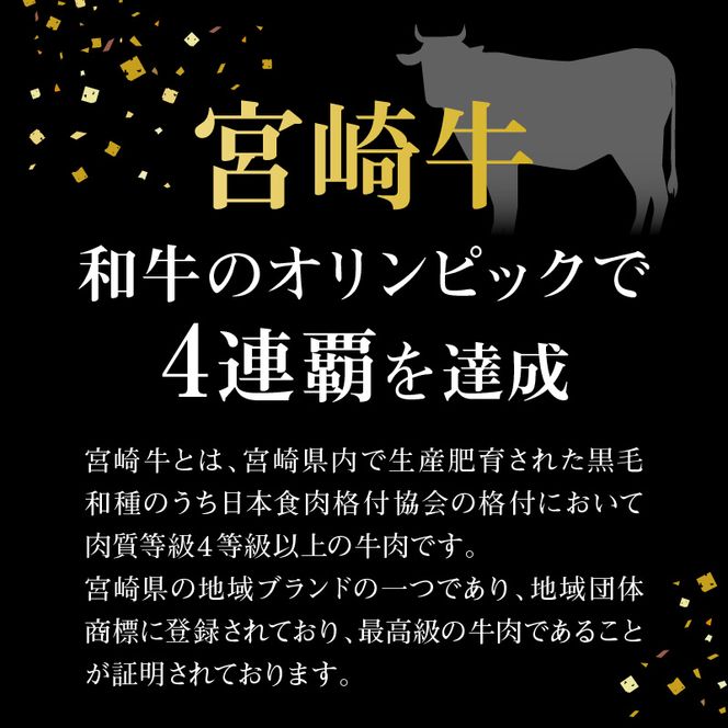 【12ヶ月定期便】宮崎牛　匠のよくばり堪能セット N0140-ZH036
