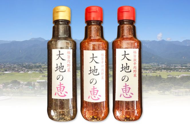 にんにくドレッシング 「大地の恵」 200ml×3種セット 甘口 中辛 激辛 [矢口農園 長野県 池田町 48110490] 