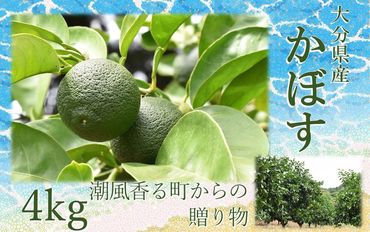 【令和6年8月下旬から発送】潮風香る町の贈り物 大分県産かぼす4kg_1816R