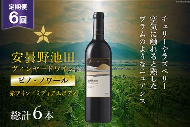 6回 定期便 赤ワイン サッポロ グランポレール 安曇野池田ヴィンヤード「ピノ・ノワール」750ml 総計6本 [池田町ハーブセンター 長野県 池田町 48110622] 赤 ワイン ミディアムボディ お酒 酒 