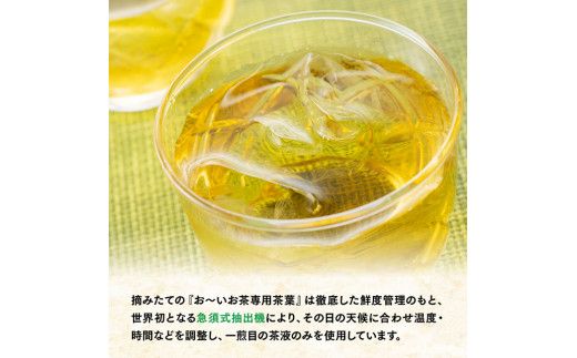 おーいお茶 緑茶 2L×6本×２ケース PET【9ケ月定期便】 [D07301t9]