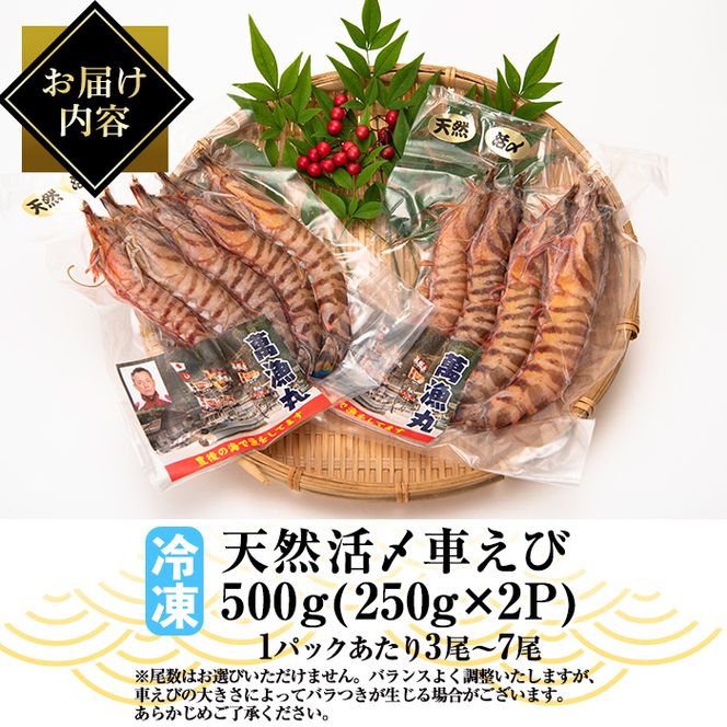 漁師直送! 天然活〆車えび (計500g・250g×2P) 大分県産 【EJ01】【萬漁丸】