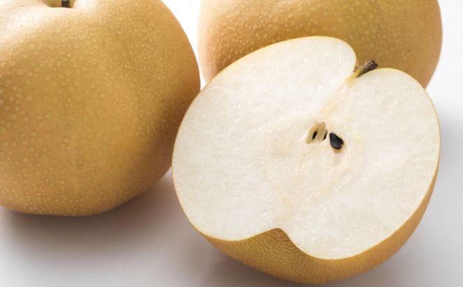 【産直】和歌山有田産の梨約2kg（品種おまかせ）★2026年8月上旬頃より順次発送  	BZ119