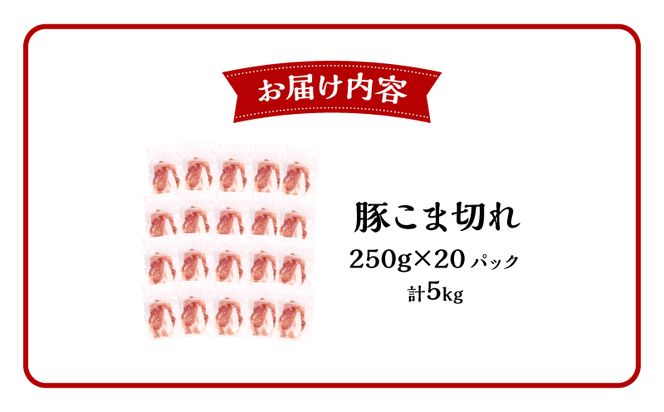 宮崎県産 豚こま切れ (250g×20パック) 合計5kg_M201-013