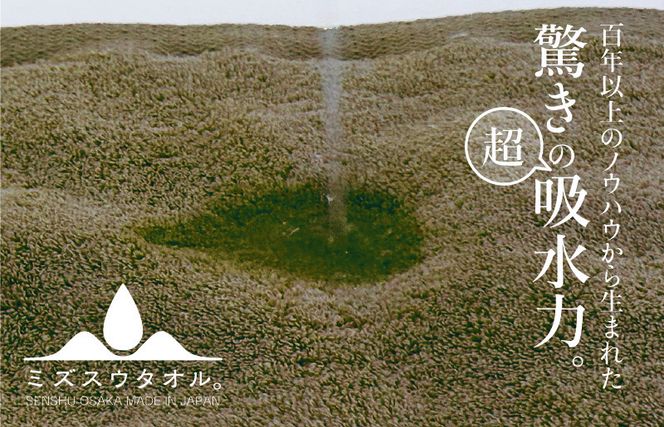 099H2283 【驚きの吸水力】ミズスウタオル バスタオル 2枚 ブラウン【スピード発送 泉州タオル 国産 吸水 普段使い シンプル 日用品 家族 ファミリー】