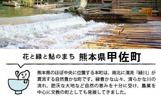 令和６年産★数量限定★熊本を代表する単一米14ｋｇ（森のくまさん7kg×1袋、ひのひかり7ｋｇ袋×1袋）【12月より順次発送予定】価格改定ZC】