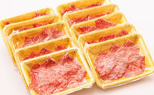 定期便 6ケ月連続】 黒毛和牛 肩ロース 切り落とし 100g×10コ