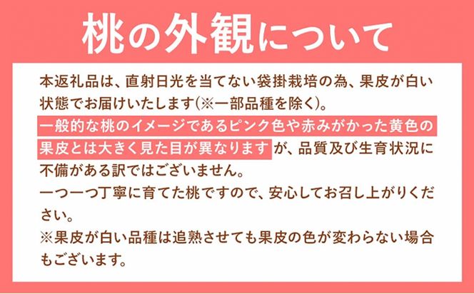 岡山の桃 2kg 5～9玉前後《1－5営業日以内に出荷（土日祝除く）》ご家庭用 訳あり スイーツ フルーツ 果物 デザート 旬 岡山県 矢掛町 桃 モモ もも 先行 予約 送料無料---yakage_loc_23_h---