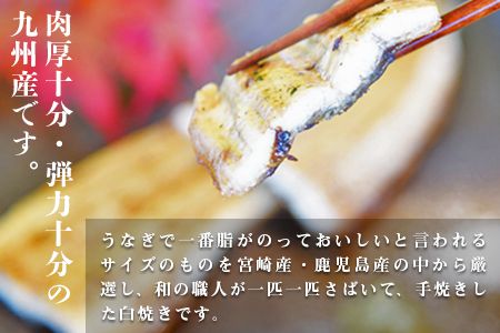 ＜職人手焼き九州産うなぎ 白焼き1尾（2切れ）計130g前後＞翌月末迄に順次出荷【c694_sk_x2】