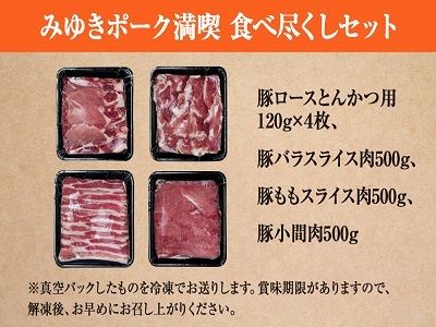 みゆきポーク　満喫　食べ尽くしセット(Ae-001)