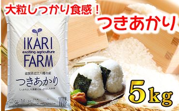 【6年産】つきあかり白米5ｋｇ　「大粒でしっかりした食感」【C056U】