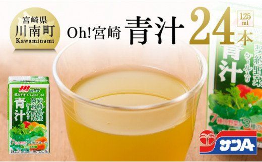 Oh!宮崎 青汁125ml×24本セット [サンA 野菜飲料 健康飲料 ケール 緑黄色野菜 健康 美容][C03053]