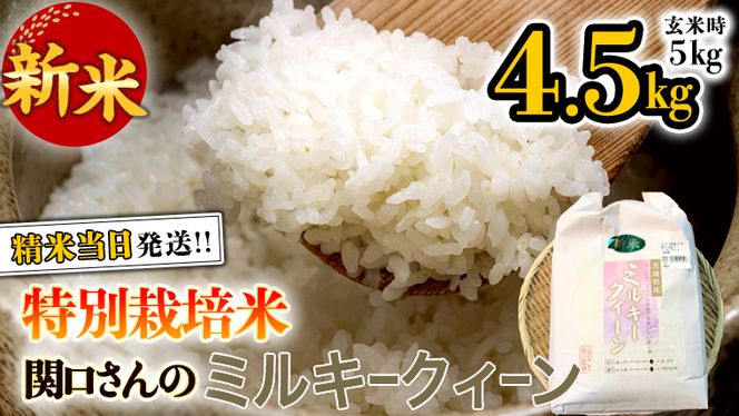 特別栽培米 》 令和5年産 精米日出荷 関口さんの「 ミルキークイーン